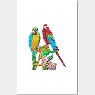 Parrots Posters and Art